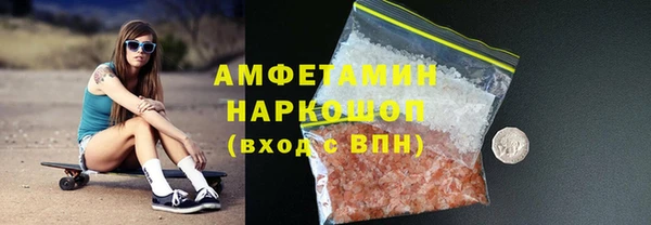 индика Инта