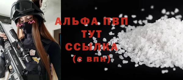 индика Инта