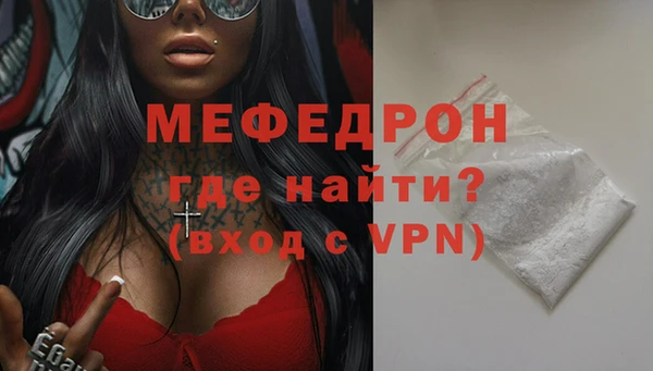 индика Инта