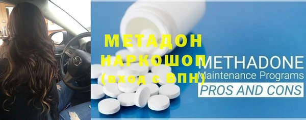 индика Инта