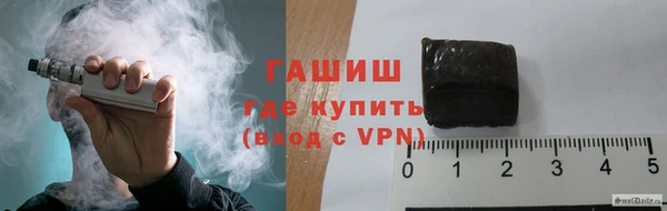индика Инта