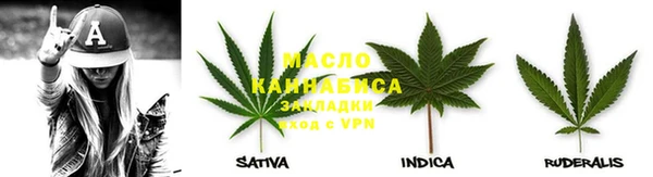 spice Инсар