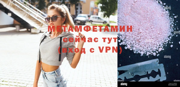 индика Инта