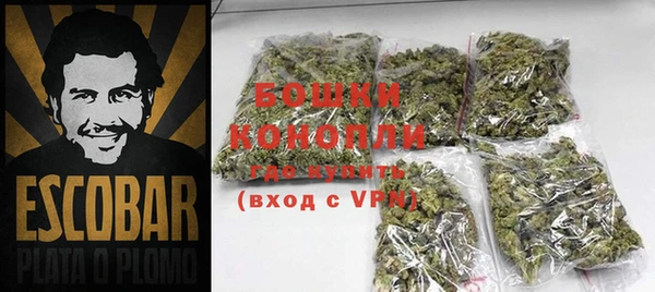 индика Инта