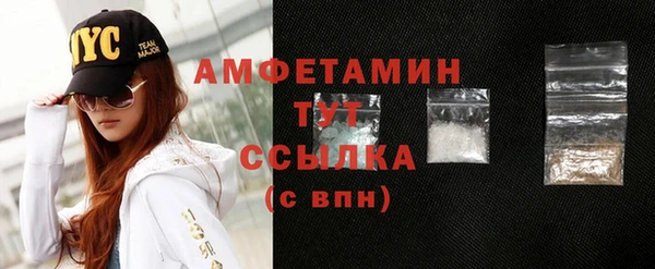 spice Инсар