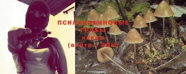 spice Инсар