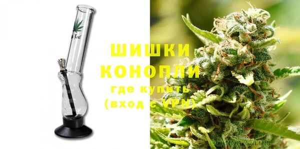 индика Инта