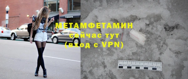 индика Инта