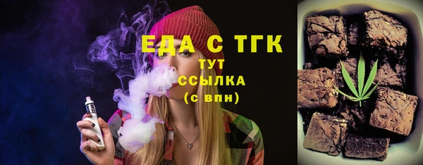 индика Инта
