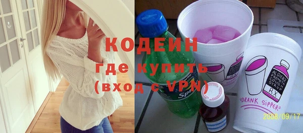 индика Инта