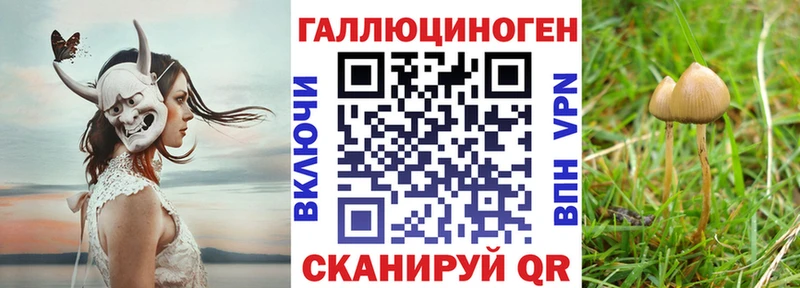 Псилоцибиновые грибы мицелий  Купить где  Тбилисская 